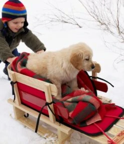 L.L.Bean Kids' Pull Sled -Outdoor Exploration 111509 0 47