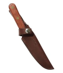 L.L.Bean Classic Trout Knife -Outdoor Exploration 304245 0 45 2
