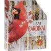 L.L.Bean Poster Size Cardinal Puzzle, 300 Pieces -Outdoor Exploration 520332 668 41