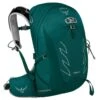 L.L.Bean Women's Osprey Tempest 20L EF Day Pack -Outdoor Exploration 520453 50584 41